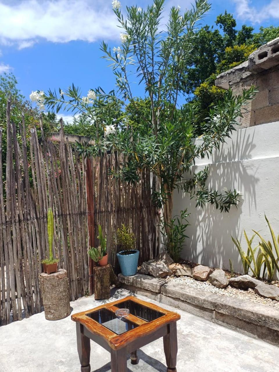ואיאדוליד Casa Candelita מראה חיצוני תמונה